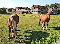 Ferme Nord (c)C BONTE